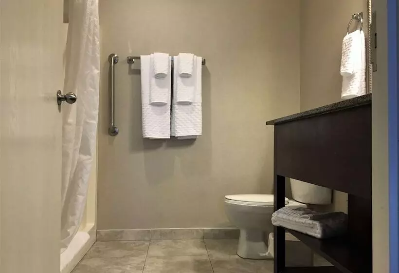 スイート, Best Western Plus Valdosta Hotel & Suites