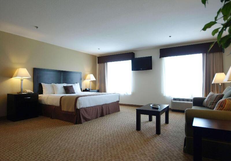 Стандартный Номер Кровать Кинг, Best Western Plus Valdosta Hotel & Suites