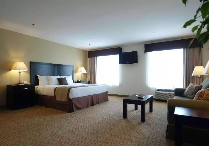 キングサイズベッドのスタンダードルーム, Best Western Plus Valdosta Hotel & Suites