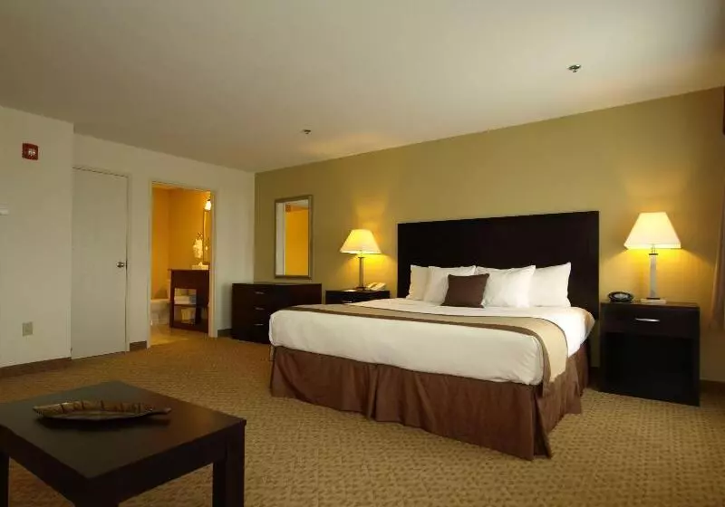 キングサイズベッドのスタンダードルーム, Best Western Plus Valdosta Hotel & Suites