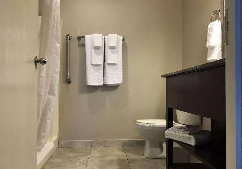 キングサイズベッドのスタンダードルーム, Best Western Plus Valdosta Hotel & Suites