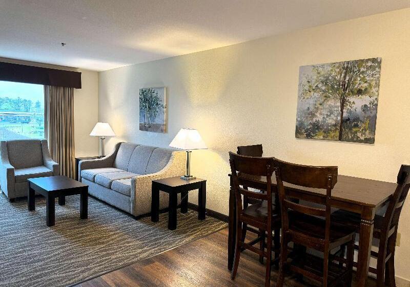 غرفة قياسية سرير كينج, Best Western Plus Valdosta Hotel & Suites