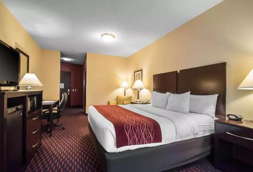 キングサイズベッドのスタンダードルーム, Comfort Inn & Suites