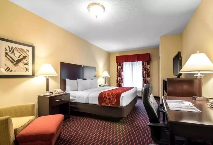 キングサイズベッドのスタンダードルーム, Comfort Inn & Suites