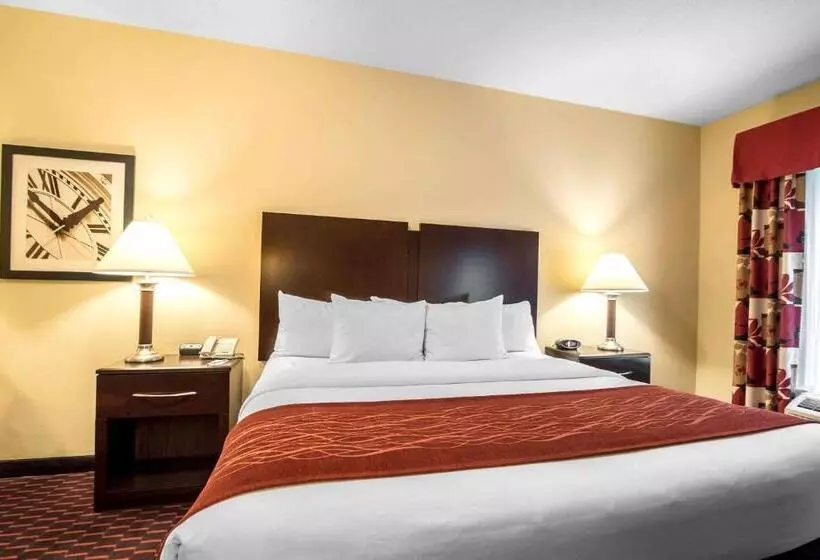 キングサイズベッドのスタンダードルーム, Comfort Inn & Suites