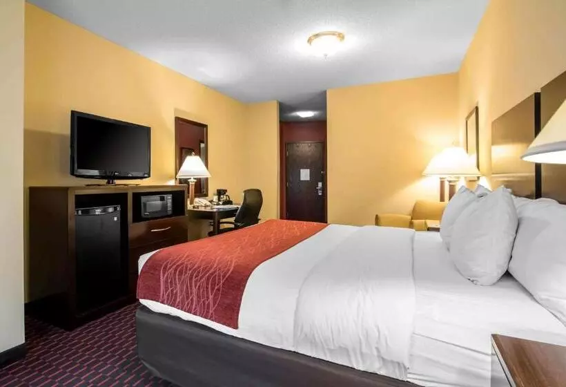 キングサイズベッドのスタンダードルーム, Comfort Inn & Suites
