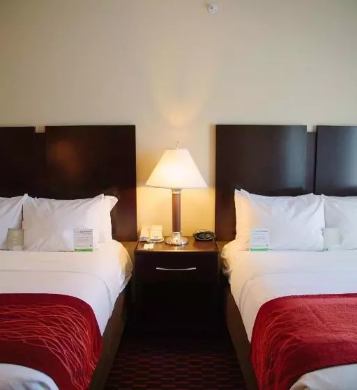 スタンダードルーム, Comfort Inn & Suites