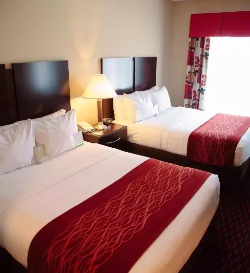 スタンダードルーム, Comfort Inn & Suites