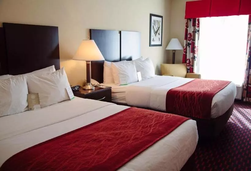 スタンダードルーム, Comfort Inn & Suites