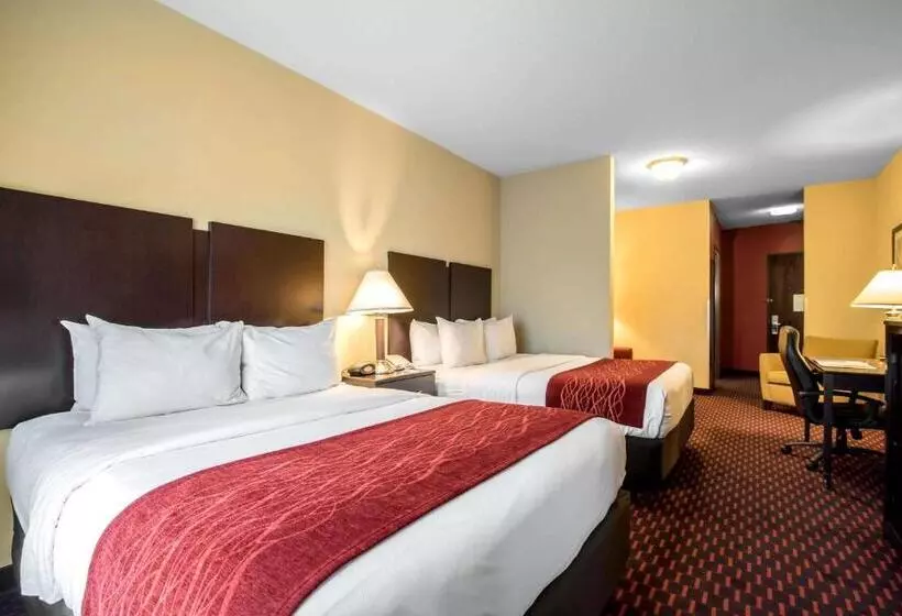 スイート, Comfort Inn & Suites