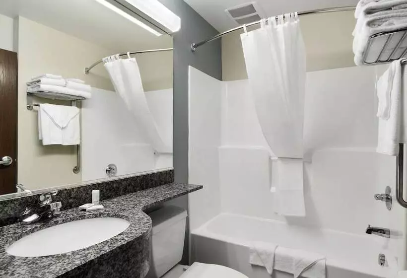 スイート, Microtel Inn & Suites By Wyndham Waynesburg