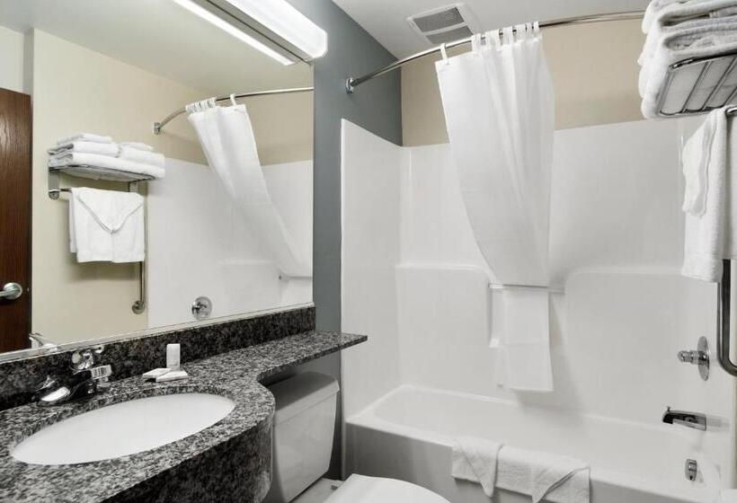 标准间, Microtel Inn & Suites By Wyndham Waynesburg