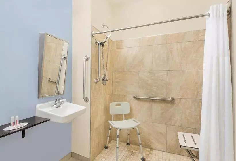 身障者適用スタンダードルーム, Microtel Inn & Suites By Wyndham Waynesburg