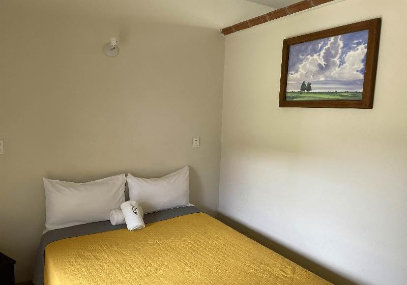 חדר אקונומי, Allende Morelia