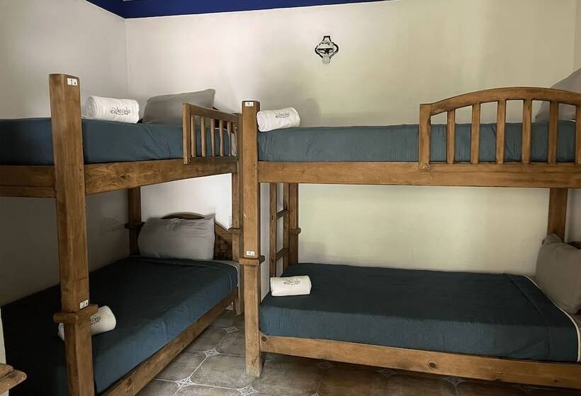 מיטה בחדר משותף, Allende Morelia