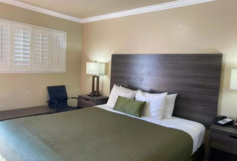 Standard-huone, Holland Inn & Suites