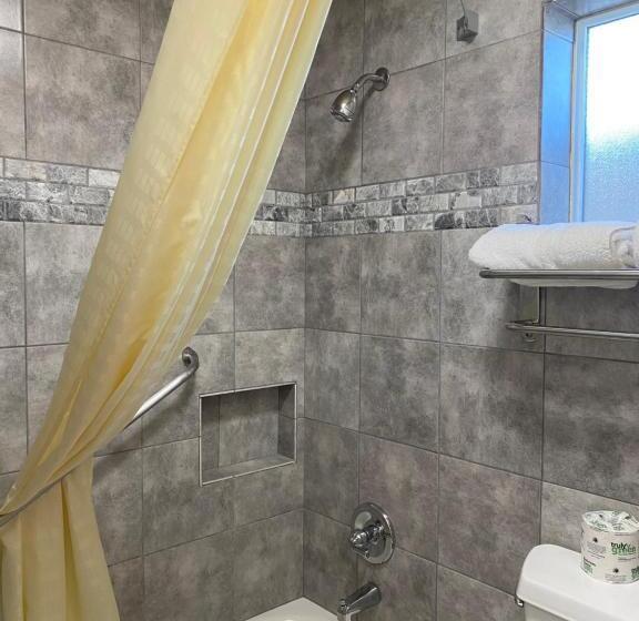 غرفة قياسية, Holland Inn & Suites