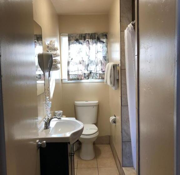 غرفه قياسيه سريرين مزدوجين, Holland Inn & Suites