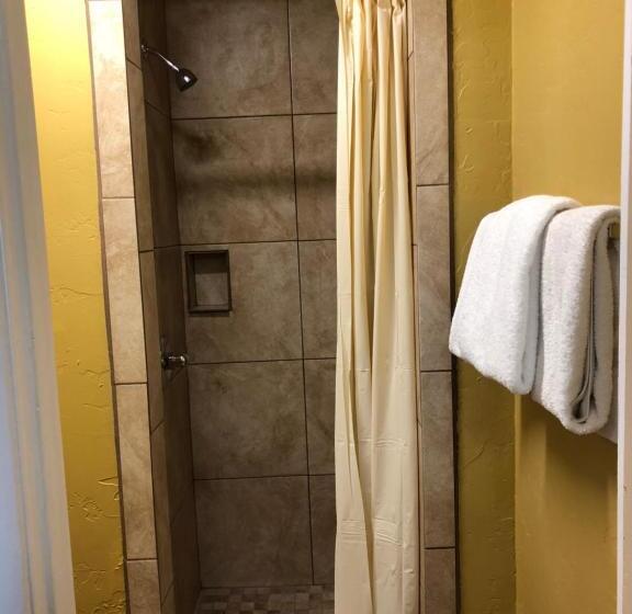 غرفه قياسيه سريرين مزدوجين, Holland Inn & Suites