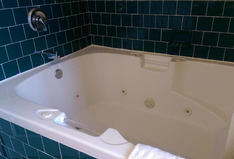 غرفة قياسية سرير كينج, Holland Inn & Suites