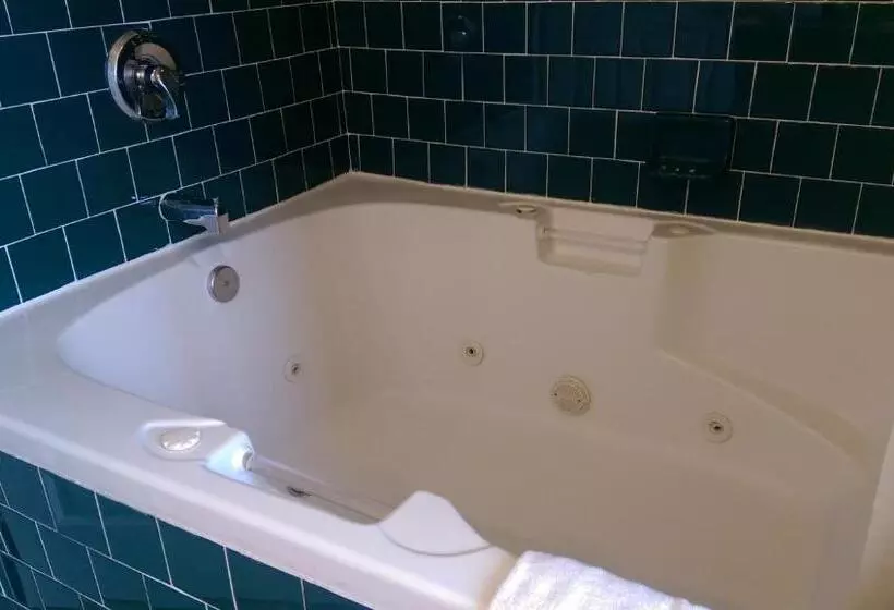 Standard-huone King-vuode, Holland Inn & Suites