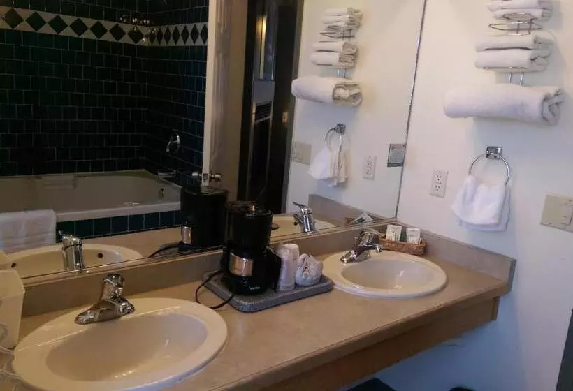 Standard-huone King-vuode, Holland Inn & Suites