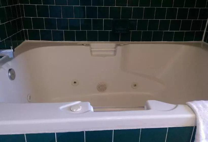 Standard-huone King-vuode, Holland Inn & Suites