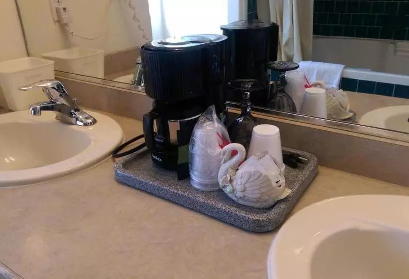Standard-huone King-vuode, Holland Inn & Suites