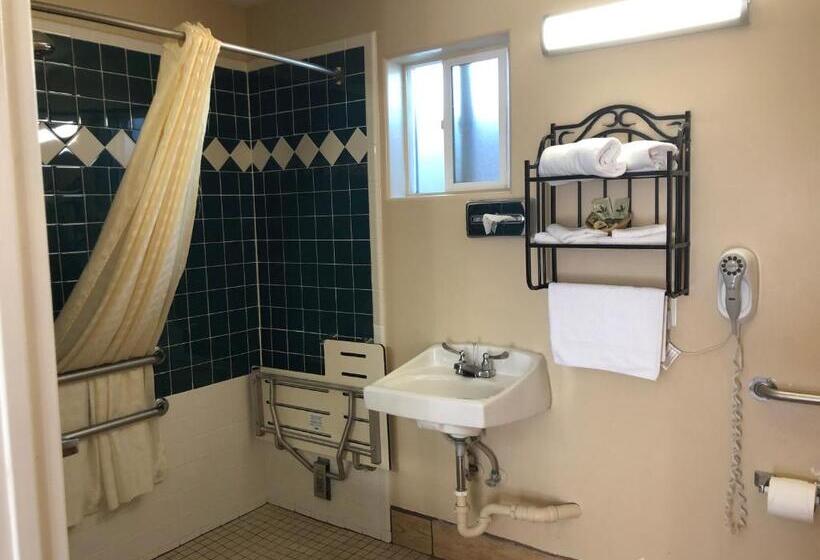 غرفة قياسية لذوى الاحتياجات الخاصة, Holland Inn & Suites