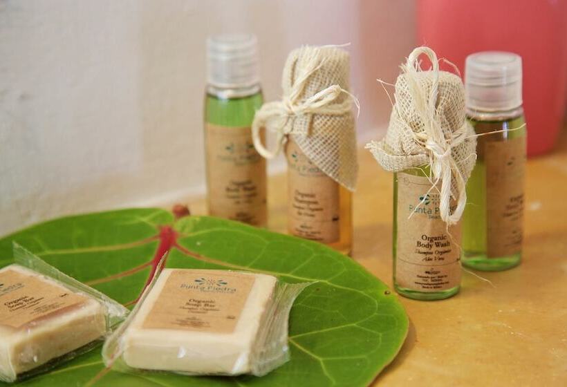 景色の見えるダブルベッドスタンダードルーム, Punta Piedra Beach Posada