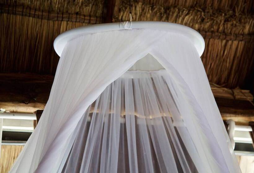 חדר סטנדרט מיטה זוגית עם נוף, Punta Piedra Beach Posada