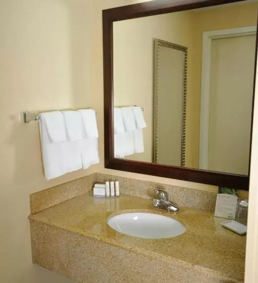キングサイドベッドのスタンダードワンルーム, Springhill Suites Galveston Island