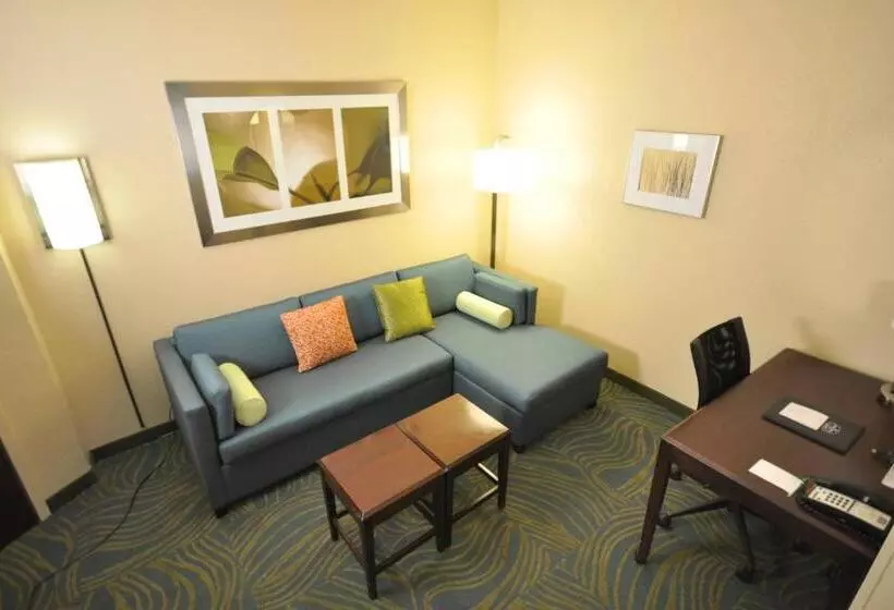 キングサイドベッドのスタンダードワンルーム, Springhill Suites Galveston Island