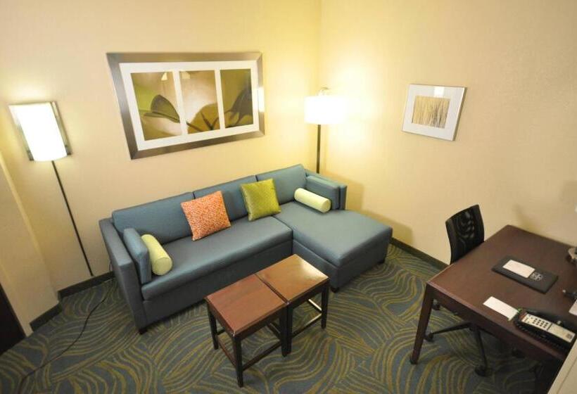 스탠다드 스튜디오, Springhill Suites Galveston Island