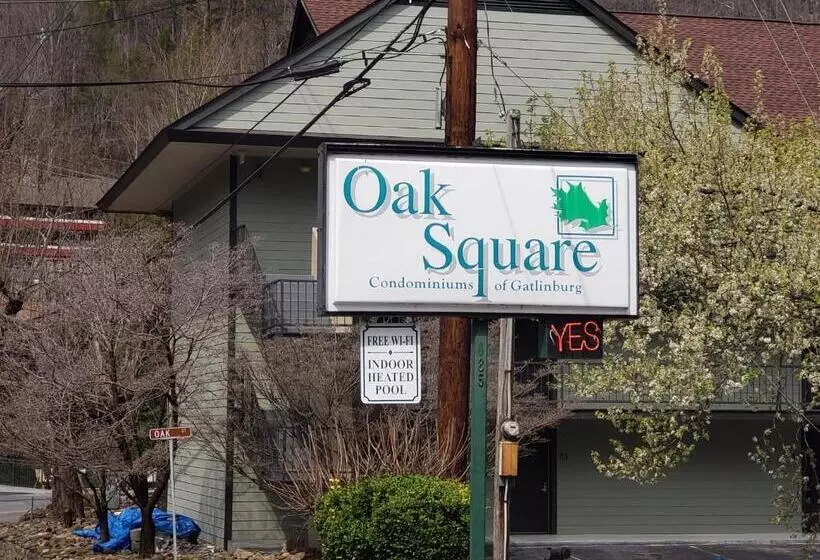 １ベッドルームアパートメント, Oak Square 309