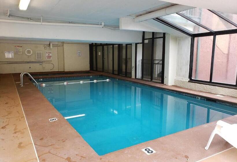 דירת חדר, Oak Square 309