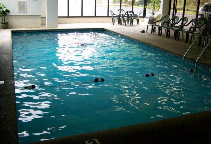 דירת חדר, Oak Square 309