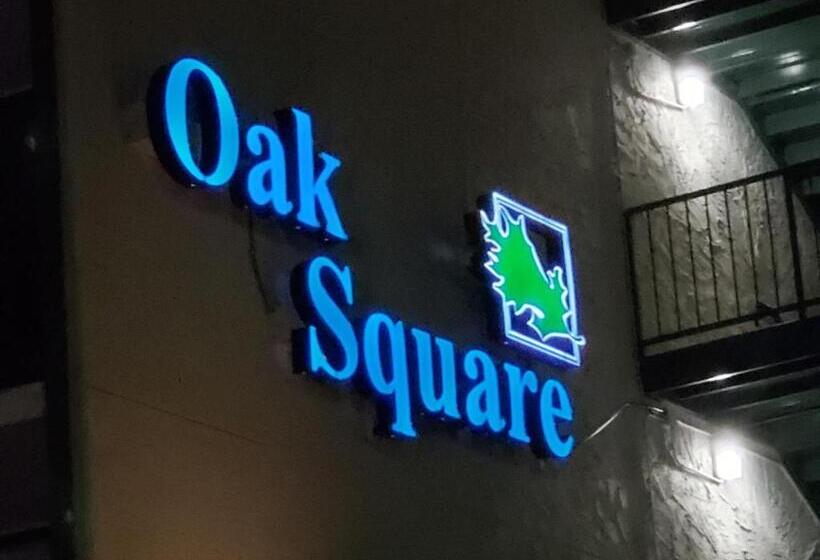 דירת חדר, Oak Square 309