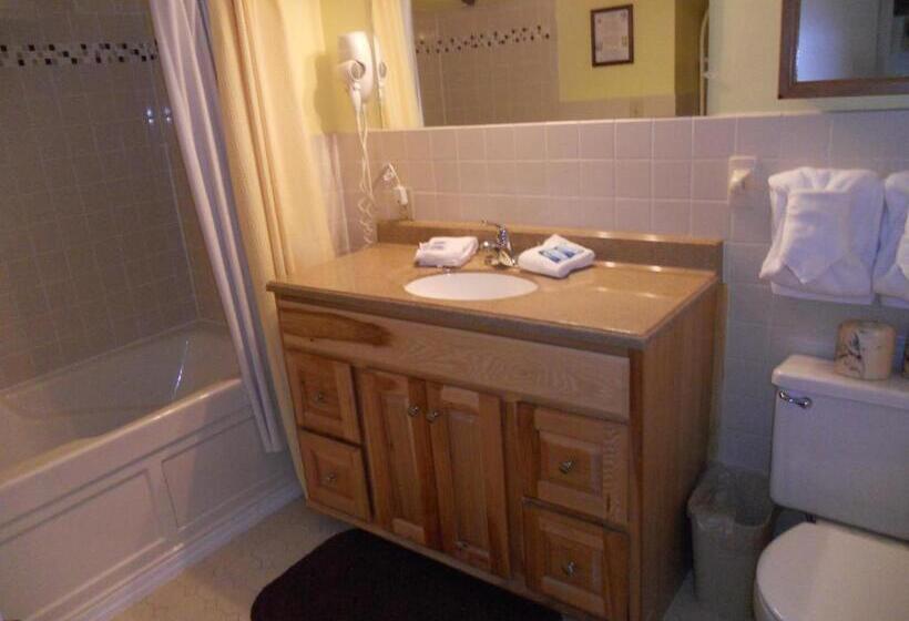 דירת חדר, Oak Square 309