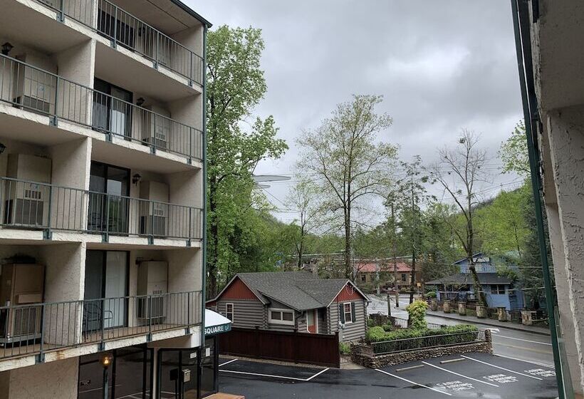 דירת חדר, Oak Square 309