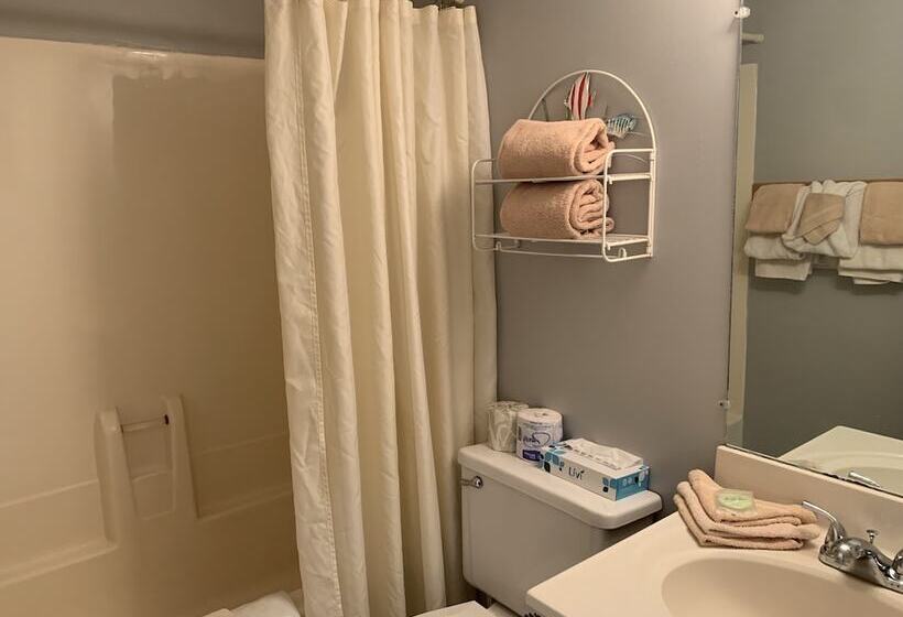 דירת חדר, Oak Square 309