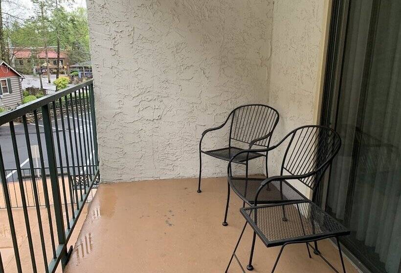 דירת חדר, Oak Square 309