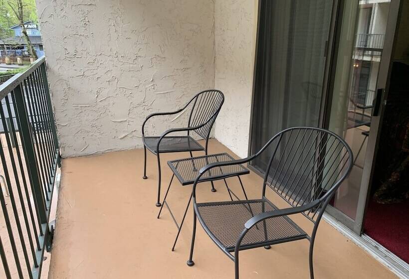 דירת חדר, Oak Square 309