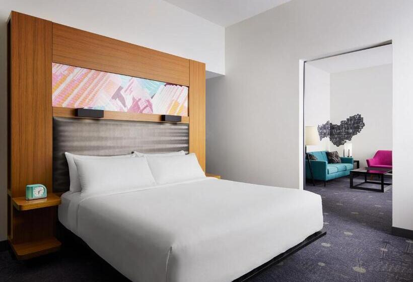 스위트 킹사이즈 침대, Aloft Leawoodoverland Park