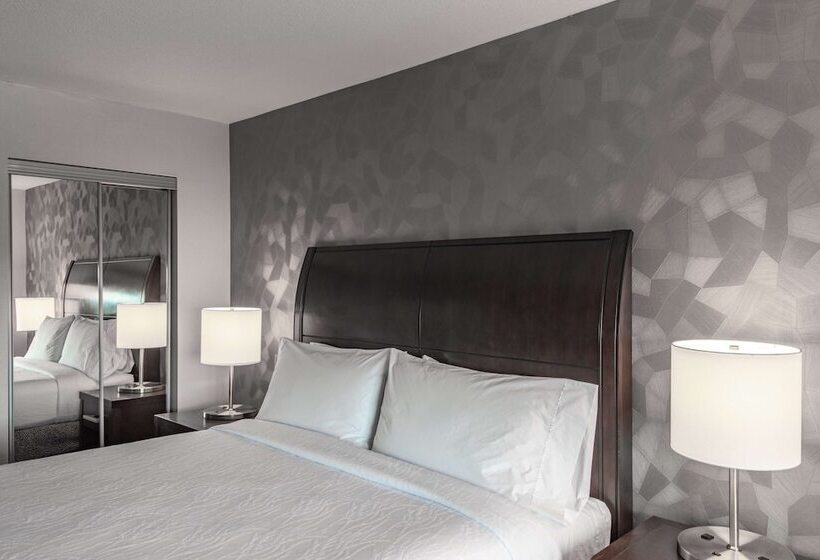 스탠다드 룸 킹사이즈 침대, Hilton Garden Inn Bethesda Downtown