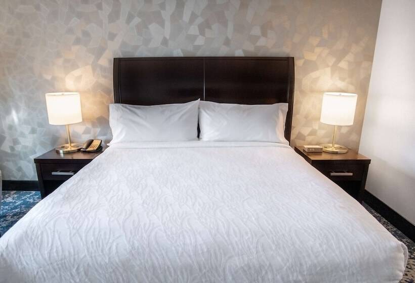 스탠다드 룸 킹사이즈 침대, Hilton Garden Inn Bethesda Downtown