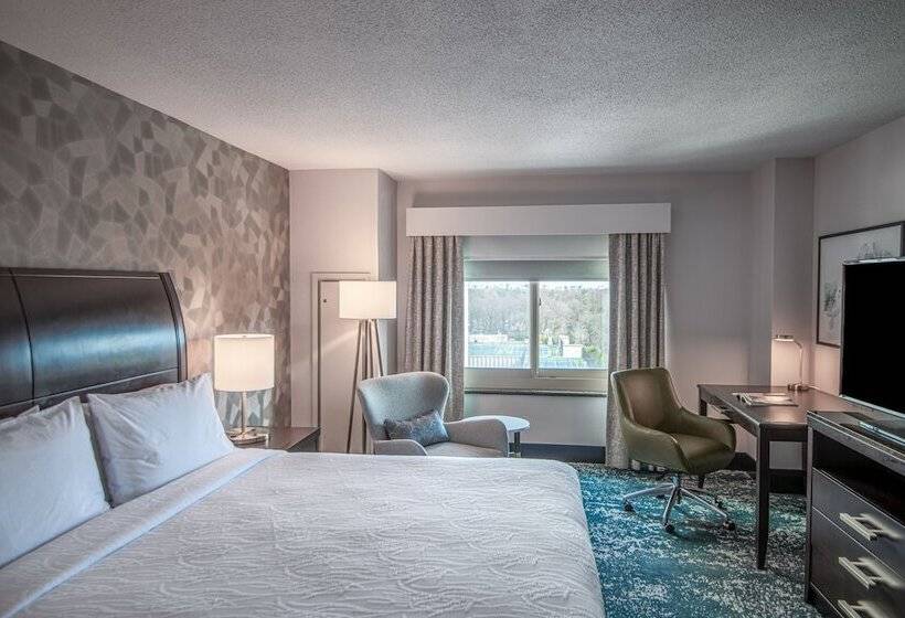 キングサイズベッドのスタンダードルーム, Hilton Garden Inn Bethesda Downtown