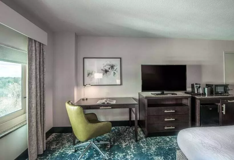 身障者適用スタンダードルーム, Hilton Garden Inn Bethesda Downtown