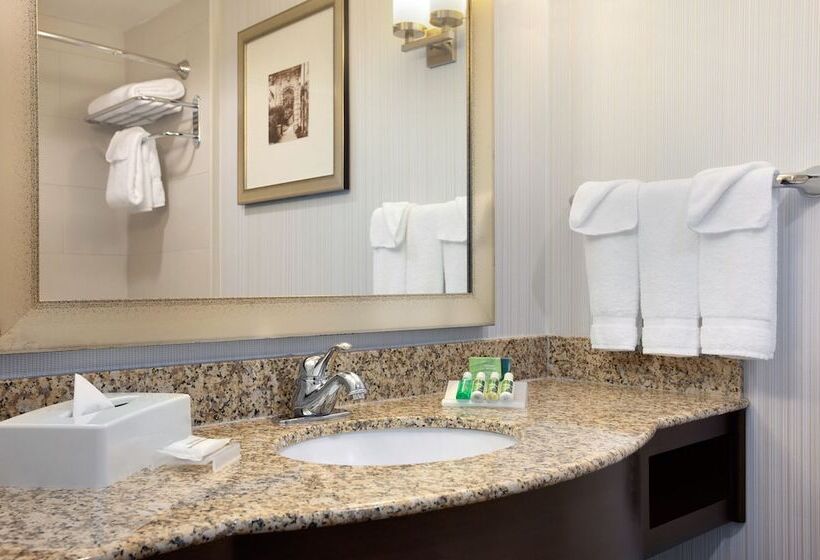 デラックススイート, Hilton Garden Inn Edmonton International Airport