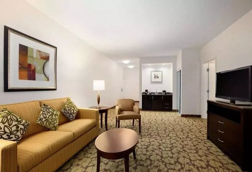 デラックススイート, Hilton Garden Inn Edmonton International Airport